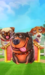 The Dog House